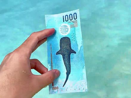 分享18种货币,看看你用过几种? #科普 #货币 #收藏钱币