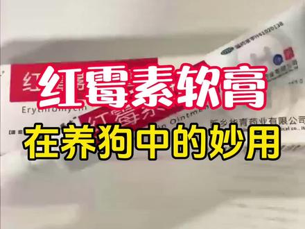 红霉素软膏在养狗中的妙用
#狗 #狗狗 #养狗人 #养狗经验分享