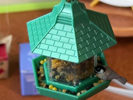 桌面养鸟又进化了! #大人也要玩玩具 #开箱 #盲盒