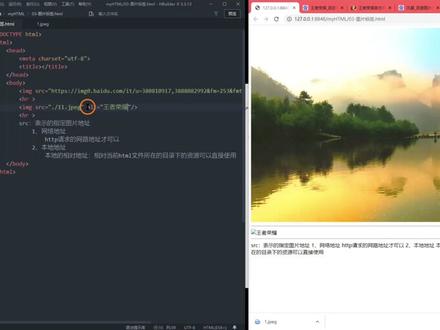HTML课程第六课:图片标签 #编程入门 #代码 #html