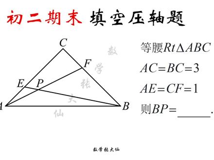 初二几何小压轴题特殊做法,把问题简单化 #八年级数学 #解题技巧 #初中数学 #期末复习