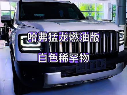 白色猛龙燃油版!恭喜粉丝喜提爱车#哈弗猛龙燃油版 #哈弗猛龙 #小白龙#与弗同行