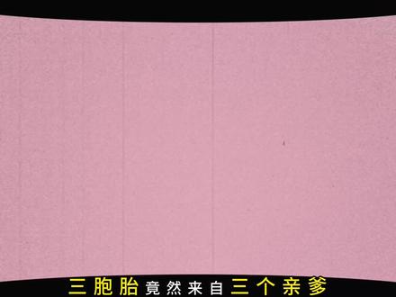 大型纪录片三胞胎竟然有三个爹持续为您播出#上热门#离谱#炸裂#震惊#搞笑