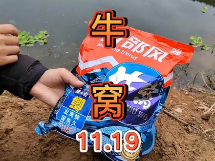 西部风牛窝鲫打窝#测饵 这款新4合1窝料用过的钓友应该不少了吧,你们那的鲫鱼喜欢吗?#钓鱼人 #2022dou来钓鱼 #一直都是喂鱼人