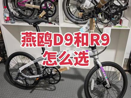 tern燕鸥d9和r9怎么选?哪个性价比更高#折叠车推荐
