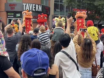 悉尼唐人街的舞狮vs情人港的街头艺人表演 #记录我的旅行 #创作者中心 #创作灵感 #记录走过的足迹#悉尼唐人街