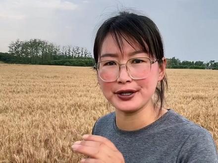 十成熟一成丢,腊熟末期抓紧收,九成熟是大丰收,十成熟必定减产丢,#麦子熟了都回来割麦吧 #麦子熟了 #三农