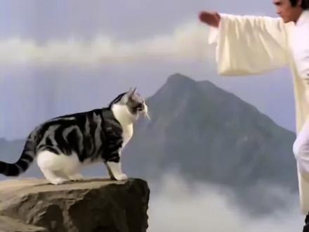 接下来我就不客气了ai特效入口,接下来我就不客气了ai教程,#小云雀AI #小云雀爆款马上成片 #小云雀seedance#接下来我就不客气了ai,猫咪大战ai生成
邵氏ai
猫猫ai
猫咪ai
ai生成视频
接下来我就不客气了ai文案