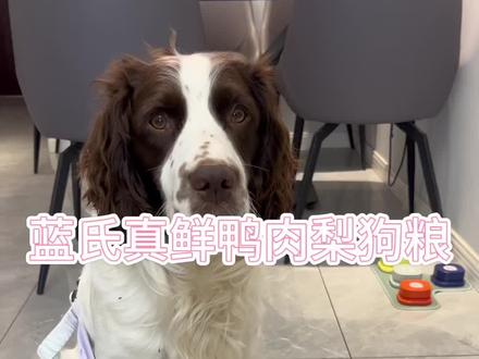 蓝氏新品真鲜鸭肉梨狗粮,养狗的朋友快来囤呀
#蓝氏真鲜鸭肉梨 #蓝氏狗粮 #蓝氏狗粮试吃 #鸭肉梨狗粮 #狗粮试吃