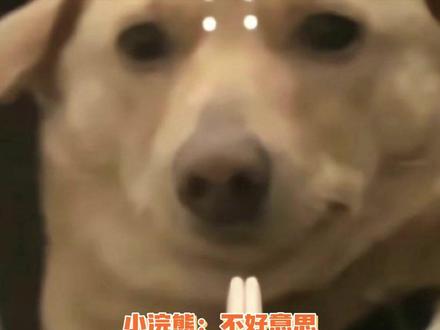 小浣熊:报一丝真的报一丝......