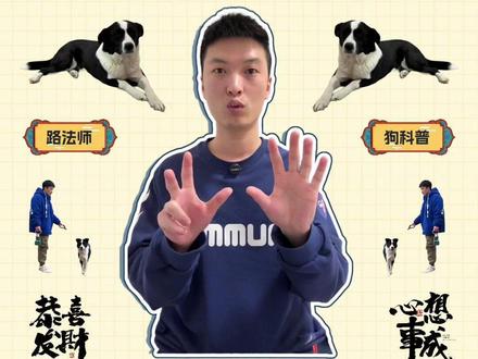 给狗吃生骨肉不是蠢就是坏-能否满足肉食天性和安全营养-这5点利害分析你看完秒懂#生骨肉#狗饮食 #族群进化 #营养失衡 #灭菌设备