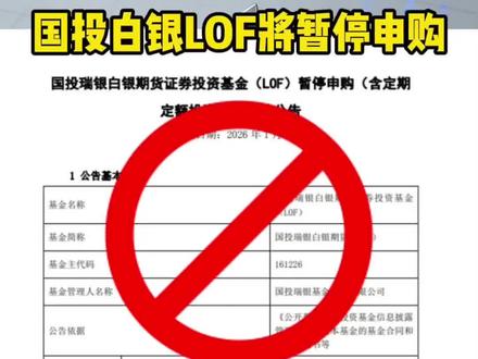 国投白银lof将暂停申购!#国投白银lof #财金 #商业思维