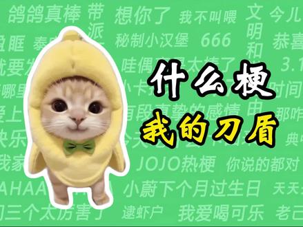 什么梗之“我的刀盾” #我的刀盾 #比比拉布 #猫meme