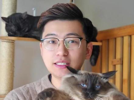 猫咪真的越大越养不熟吗?#养猫经验分享 #科学养宠攻略 #新手养猫