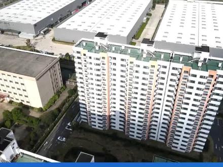 上海乐高乐园员工宿舍正式启用 助推枫泾工业园区配套提升