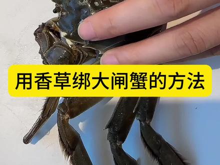 家人们,不会绑大闸蟹又喜欢吃大闸蟹的宝子们,看过来喽#同城好店推荐 #每天都是新鲜食材 #食材新鲜才是硬道理 #吉安美食 #秋天怎么能少了一顿大闸蟹
