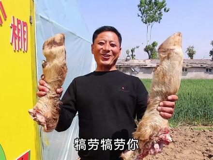 老爸看盼盼做瓜棚大门很辛苦,买两个大牛蹄炖给他吃,犒劳犒劳女婿。盼盼很爱吃,老爸:喜欢吃,爸经常做给你吃!#农村美食