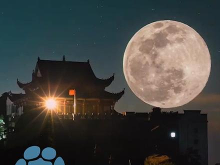 “XXXL号”月亮要来了!11月5日将迎来本年度最大的“超级月亮”,不妨约着好友走到户外欣赏一番#大象主播说