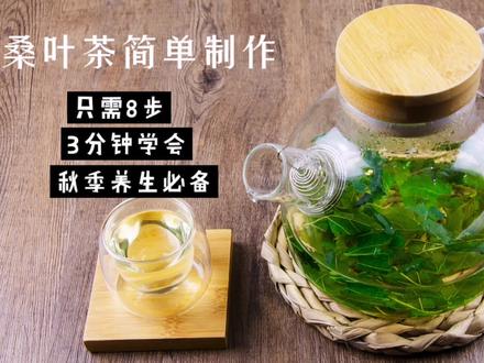喝桑叶茶好处多,咋制作?3分钟了解加工流程,简单8步你也能学会