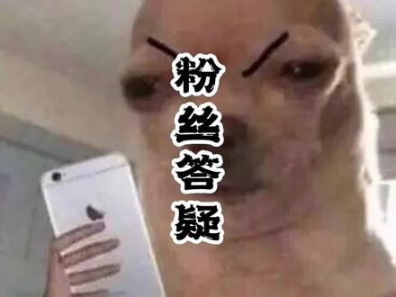 周五粉丝答疑:cu525,tr300,金吉拉450,黑旗500怎么选
