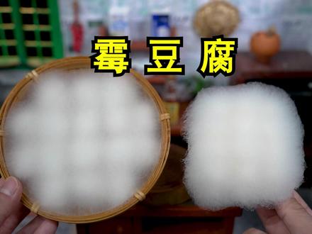 复刻网上超火的《霉豆腐》 #霉豆腐