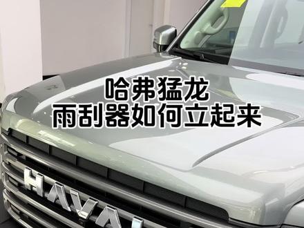 #哈弗猛龙 #哈弗猛龙正式上市 #新能源越野suv普及者 东北的老铁注意玻璃水该换成零下的了!