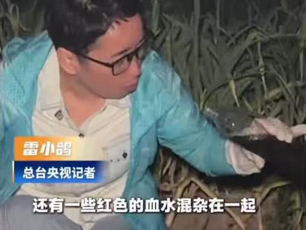 徐州羊蹄事件彻底曝光!
黑作坊用工业火碱脱毛、双氧水漂白
加工环境脏乱不堪,毒羊蹄流入各地餐桌
颜值全靠化学药水泡出来的
长期食用伤肠胃、损肝肾
街边散装卤味、来路不明熟食千万别乱买
舌尖上的安全真的不能忽视⚠️
#徐州羊蹄事件 #食品安全 #黑心作坊 #卤味安全