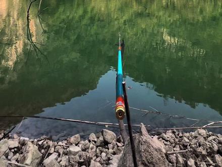 一人一杆 荒山野岭钓三天 都是巨物!#钓鱼