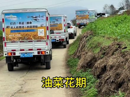 万亩油菜防治,无人机作业,高效又专业!
防治油菜菌核病、蚜虫,科技助力,产量翻倍#遵义无人机植保 #抖音助农扶农 #无人机打药 #贵州 #遵义无人机吊运