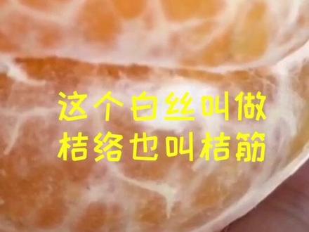 小朱带您了解桔子表面的白丝是什么#三农 #抖音小助手