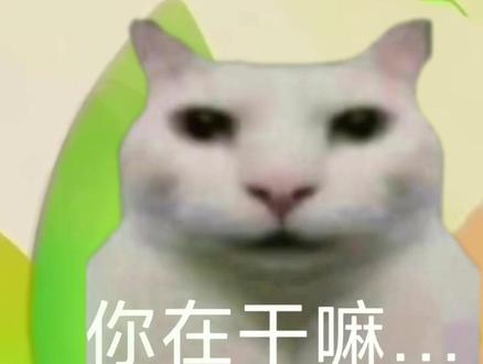 续火花
#续火花 #干嘛猫 #续火花专用视频 #猫meme