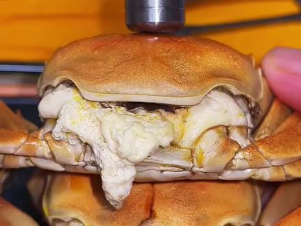 #抖音美食推荐官 螃蟹到底蒸多久才能吃,你蒸对了吗?#盘锦河蟹