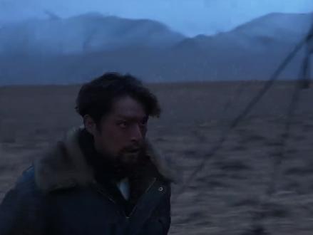 生命树 能拿几个奖 #生命树