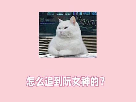 #小说 精选!精选!马甲文!一起来看她今天掉马了没#马甲文 #席爷每天都想官宣 #战七少 #国民校草是女生