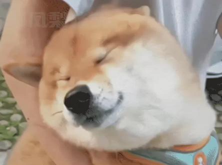 我不会是最后一个才知道的吧#回森#音色