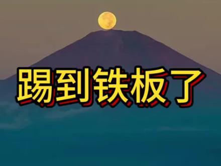 美版锦衣卫,踢到了铁板#ICE