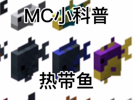 #我的世界 热带鱼的介绍 感觉差了好多数据,欢迎在评论区补充!更多物种介绍请看个人主页!@抖音小助手