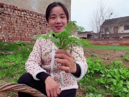 在俺河南怎么能拒绝这口野味?#真实生活分享计划 #河南dou知道 #河南美食 #挖野菜 #我的乡村生活