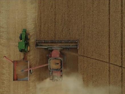 【使劲鬼扯】在四川这个啤酒你一定没喝过。本文案纯属瞎扯,只为搏君一笑。#四川话 #四川方言 #黎麻麦啤 #搞笑 #搞笑视频 #纯属娱乐 #达芬奇调色 #达芬奇