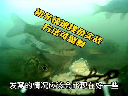 初冬找鱼实战,一小时带你找到鱼群藏身位置,方法可以原版复制 #冬季找鱼#钓鱼技巧#野钓实战#野钓鲫鱼#户外钓鱼 #游钓江湖