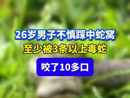 男子踩中蛇窝被咬10多口