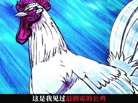 深度解析+精讲,四月新番《公鸡斗士》第二期,鸡哥再添一员萌将 #二次元 #鸡斗士 #动漫编年史 #青年创作者成长计划 #充能计划