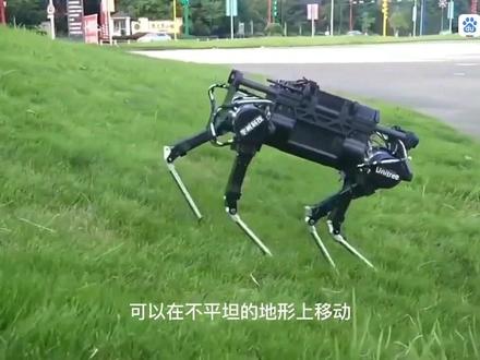 全球最强的10只机器狗