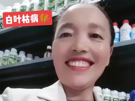近期水稻🌾个别田块又出现新一轮细菌性条斑病和白叶枯病,建议大家雨后要及时防治,用:噻霉酮和春雷霉素十芸苔素事伴功倍,叶片生病吸收能力下降,抓住最后一片叶机会,要打湿打透,确保水稻的增产增收。#关注三农服务百姓 #病虫害防治 #农药化肥 #抖音新农人 #做生意诚信第一