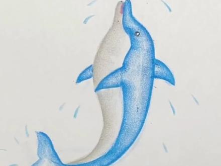 教你画好看又可爱的海豚#一学就会的简笔画 #零基础学画画#学会了快去试试吧