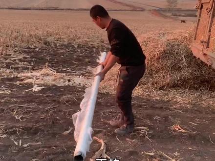 #三农 #东北农村日常生活 @抖音创作小助手