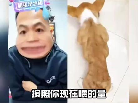 潘子直播爆笑顺间。🤣🤣#猝不及防 #搞笑