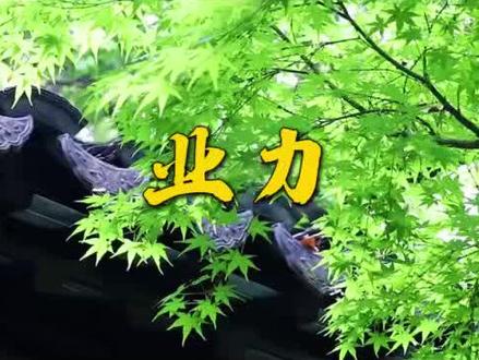 常说的业力是什么?
#禅悟人生 #国学文化 #修行 #修心修行 #禅意生活