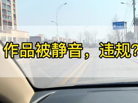 #vlog日常 作品被静音,违规?#中视频合作伙伴计划 #选择音乐要慎重#原创视频