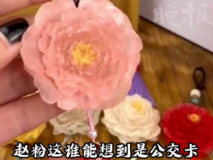 关注洛阳晚报sph,明日直播送10个牡丹花公交卡!全国通用哦!#牡丹公交卡